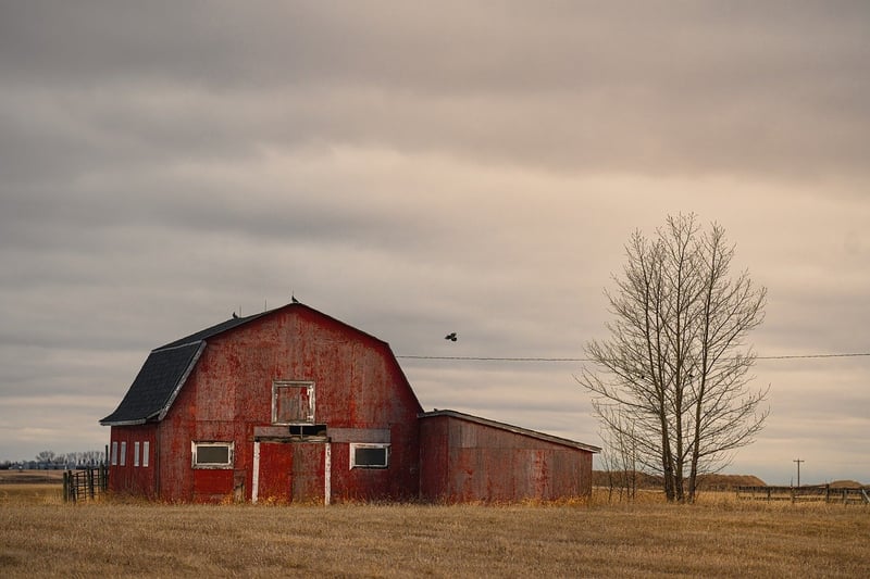 Country Rustic